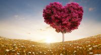 Love Heart Tree Fields6728715003 200x110 - Love Heart Tree Fields - tree, Love, Heart, fields